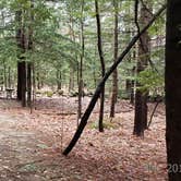 Review photo of Monadnock State Park Campground by Jean C., May 11, 2019