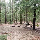 Review photo of Monadnock State Park Campground by Jean C., May 11, 2019