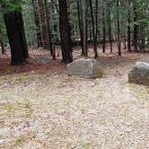 Review photo of Monadnock State Park Campground by Jean C., May 11, 2019