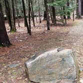 Review photo of Monadnock State Park Campground by Jean C., May 11, 2019