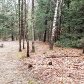 Review photo of Monadnock State Park Campground by Jean C., May 11, 2019