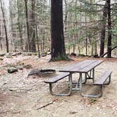 Review photo of Monadnock State Park Campground by Jean C., May 11, 2019