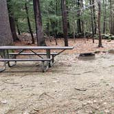 Review photo of Monadnock State Park Campground by Jean C., May 11, 2019