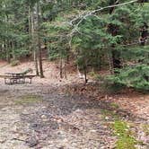 Review photo of Monadnock State Park Campground by Jean C., May 11, 2019