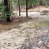 Review photo of Monadnock State Park Campground by Jean C., May 11, 2019