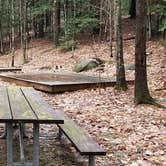 Review photo of Monadnock State Park Campground by Jean C., May 11, 2019