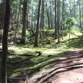 Review photo of Midway Campground — Moran State Park by Valerie , August 29, 2016