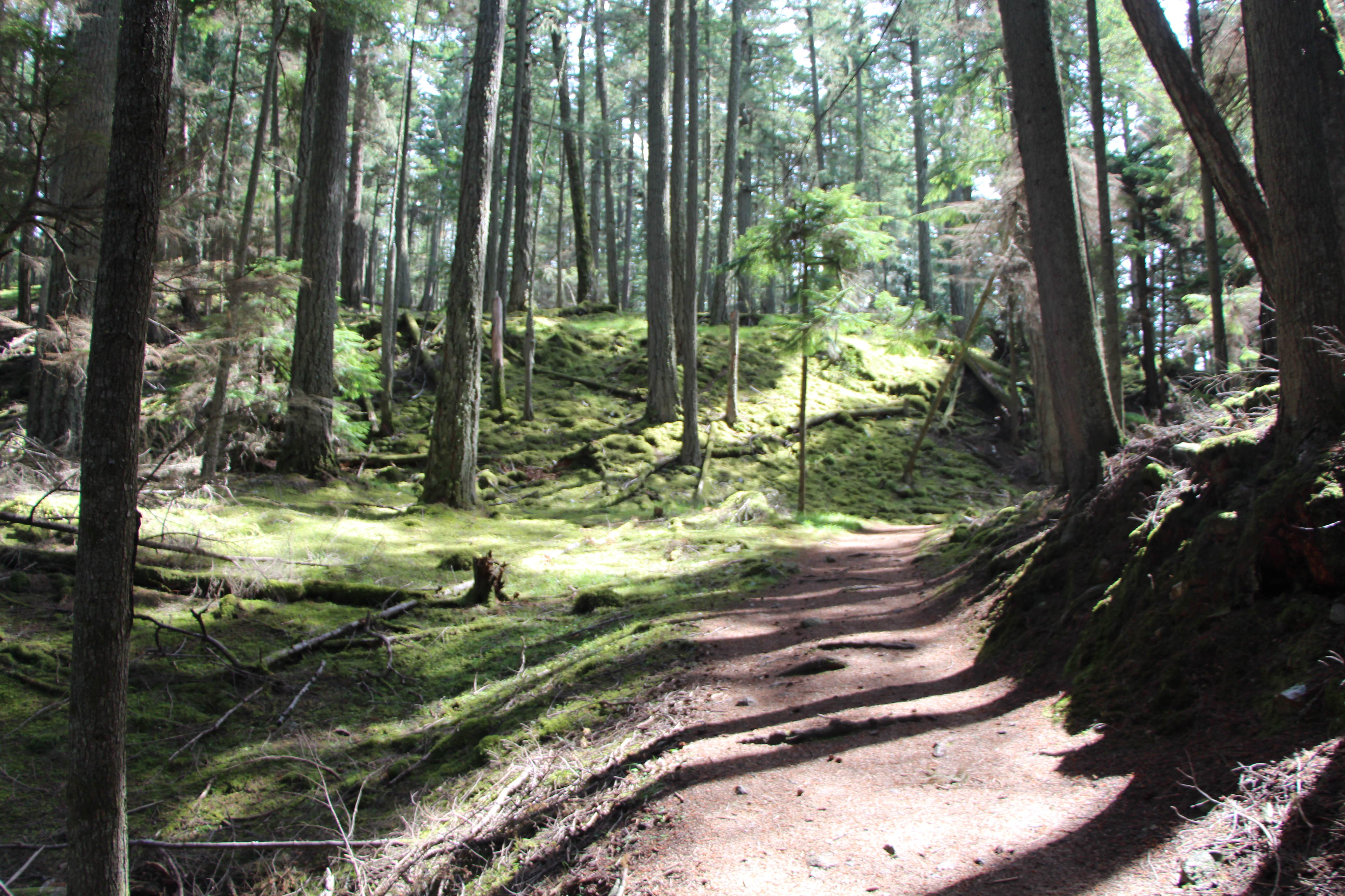 Camper submitted image from Midway Campground — Moran State Park - 5