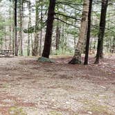 Review photo of Monadnock State Park Campground by Jean C., May 11, 2019