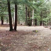 Review photo of Monadnock State Park Campground by Jean C., May 11, 2019