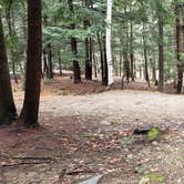 Review photo of Monadnock State Park Campground by Jean C., May 11, 2019