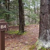 Review photo of Monadnock State Park Campground by Jean C., May 11, 2019