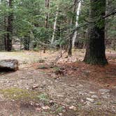 Review photo of Monadnock State Park Campground by Jean C., May 11, 2019