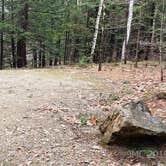 Review photo of Monadnock State Park Campground by Jean C., May 11, 2019