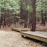 Review photo of Monadnock State Park Campground by Jean C., May 11, 2019