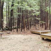 Review photo of Monadnock State Park Campground by Jean C., May 11, 2019