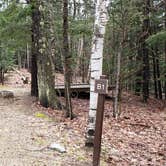 Review photo of Monadnock State Park Campground by Jean C., May 11, 2019