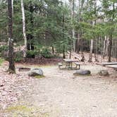 Review photo of Monadnock State Park Campground by Jean C., May 11, 2019