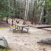 Review photo of Monadnock State Park Campground by Jean C., May 11, 2019