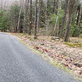 Review photo of Monadnock State Park Campground by Jean C., May 11, 2019