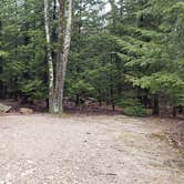 Review photo of Monadnock State Park Campground by Jean C., May 11, 2019