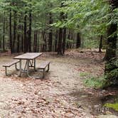 Review photo of Monadnock State Park Campground by Jean C., May 11, 2019