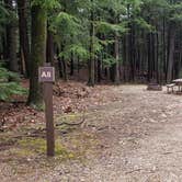 Review photo of Monadnock State Park Campground by Jean C., May 11, 2019