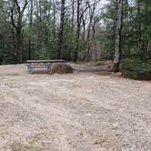 Review photo of Monadnock State Park Campground by Jean C., May 11, 2019