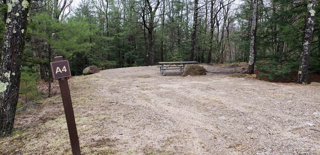 Camper submitted image from Gilson Pond Area Campground — Monadnock State Park - 5