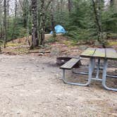 Review photo of Monadnock State Park Campground by Jean C., May 11, 2019