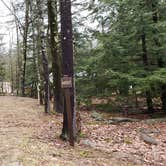 Review photo of Monadnock State Park Campground by Jean C., May 11, 2019