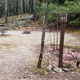 Review photo of Monadnock State Park Campground by Jean C., May 11, 2019