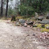 Review photo of Monadnock State Park Campground by Jean C., May 11, 2019