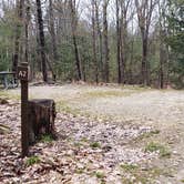 Review photo of Monadnock State Park Campground by Jean C., May 11, 2019