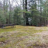 Review photo of Monadnock State Park Campground by Jean C., May 11, 2019