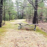 Review photo of Monadnock State Park Campground by Jean C., May 11, 2019