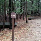 Review photo of Monadnock State Park Campground by Jean C., May 11, 2019