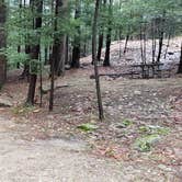 Review photo of Monadnock State Park Campground by Jean C., May 11, 2019