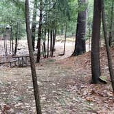 Review photo of Monadnock State Park Campground by Jean C., May 11, 2019