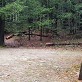 Review photo of Monadnock State Park Campground by Jean C., May 11, 2019