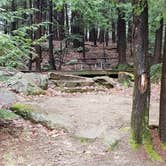 Review photo of Monadnock State Park Campground by Jean C., May 11, 2019