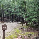 Review photo of Monadnock State Park Campground by Jean C., May 11, 2019