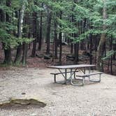 Review photo of Monadnock State Park Campground by Jean C., May 11, 2019