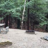 Review photo of Monadnock State Park Campground by Jean C., May 11, 2019