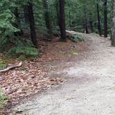 Review photo of Monadnock State Park Campground by Jean C., May 11, 2019