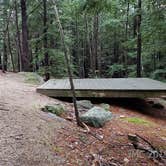 Review photo of Monadnock State Park Campground by Jean C., May 11, 2019