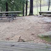 Review photo of Monadnock State Park Campground by Jean C., May 11, 2019