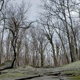 Review photo of Monadnock State Park Campground by Jean C., May 11, 2019