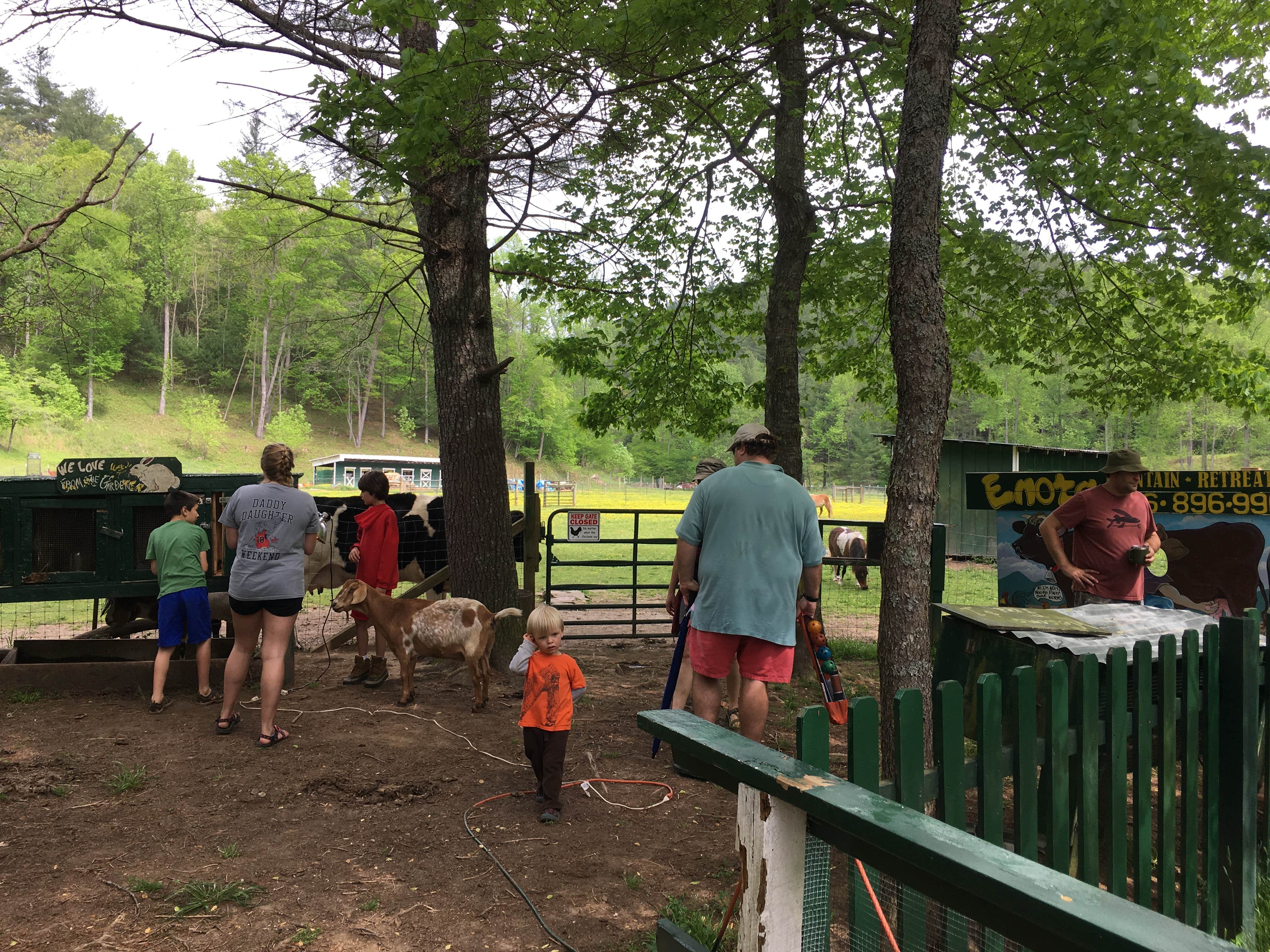 Anna R.'s photo of camping with pets at Enota Mountain Retreat near Helen, GA