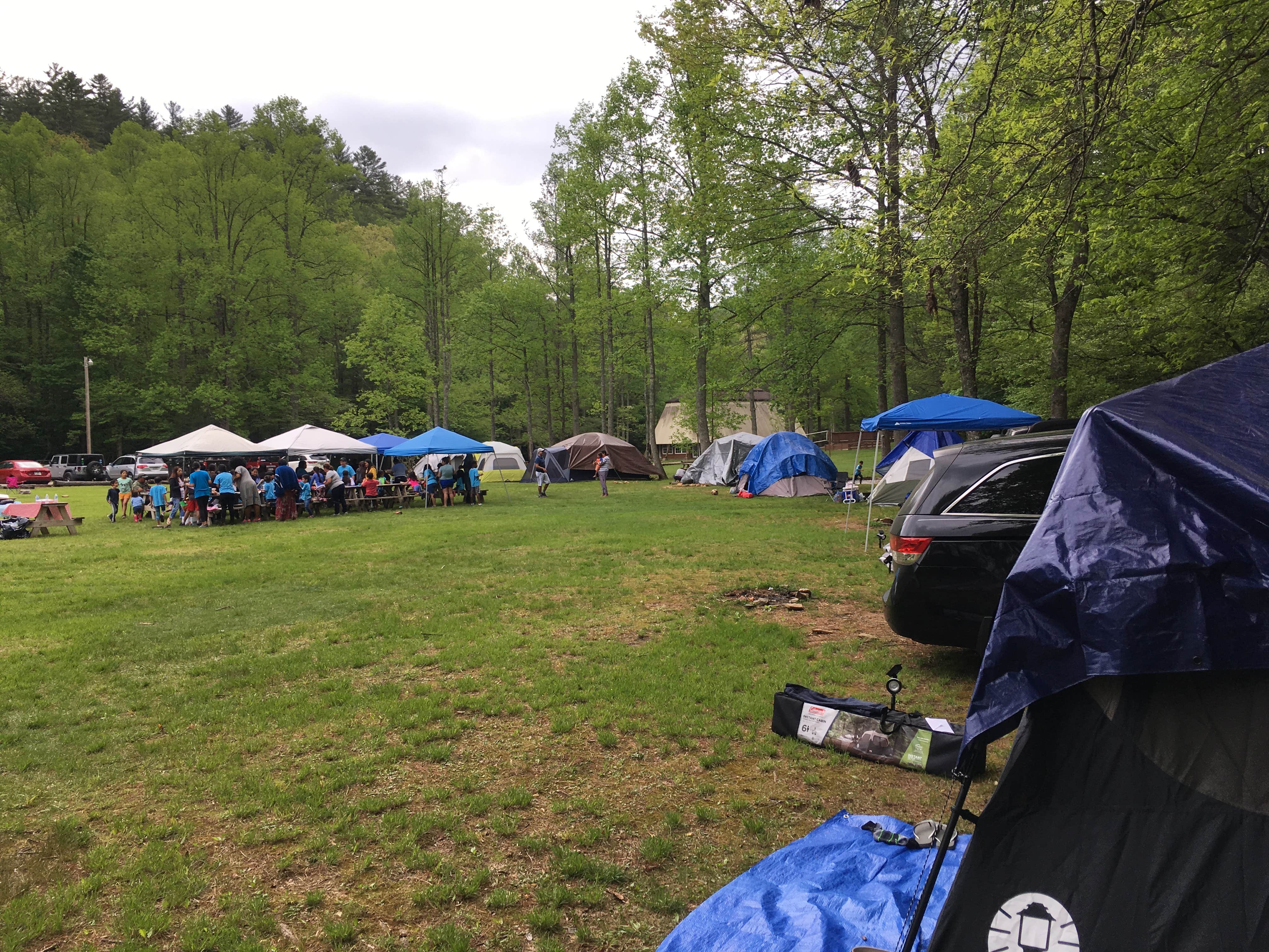 Camper submitted image from Enota Mountain Retreat - 3